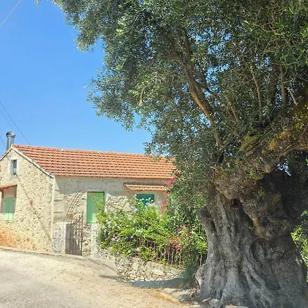 Villa Asteri Katsaráta